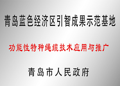 功能性特種繩纜技術(shù)應(yīng)用與推廣示范基地